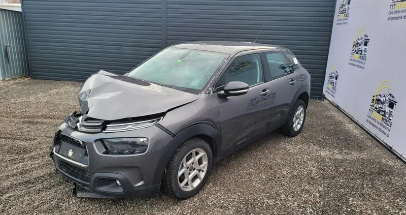 citroen świętokrzyskie Citroen C4 Cactus cena 19800 przebieg: 83731, rok produkcji 2019 z Koprzywnica